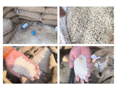 Water Affected Stock of Rice, Paddy, FRK Rice, Bardana, and Rice Polish